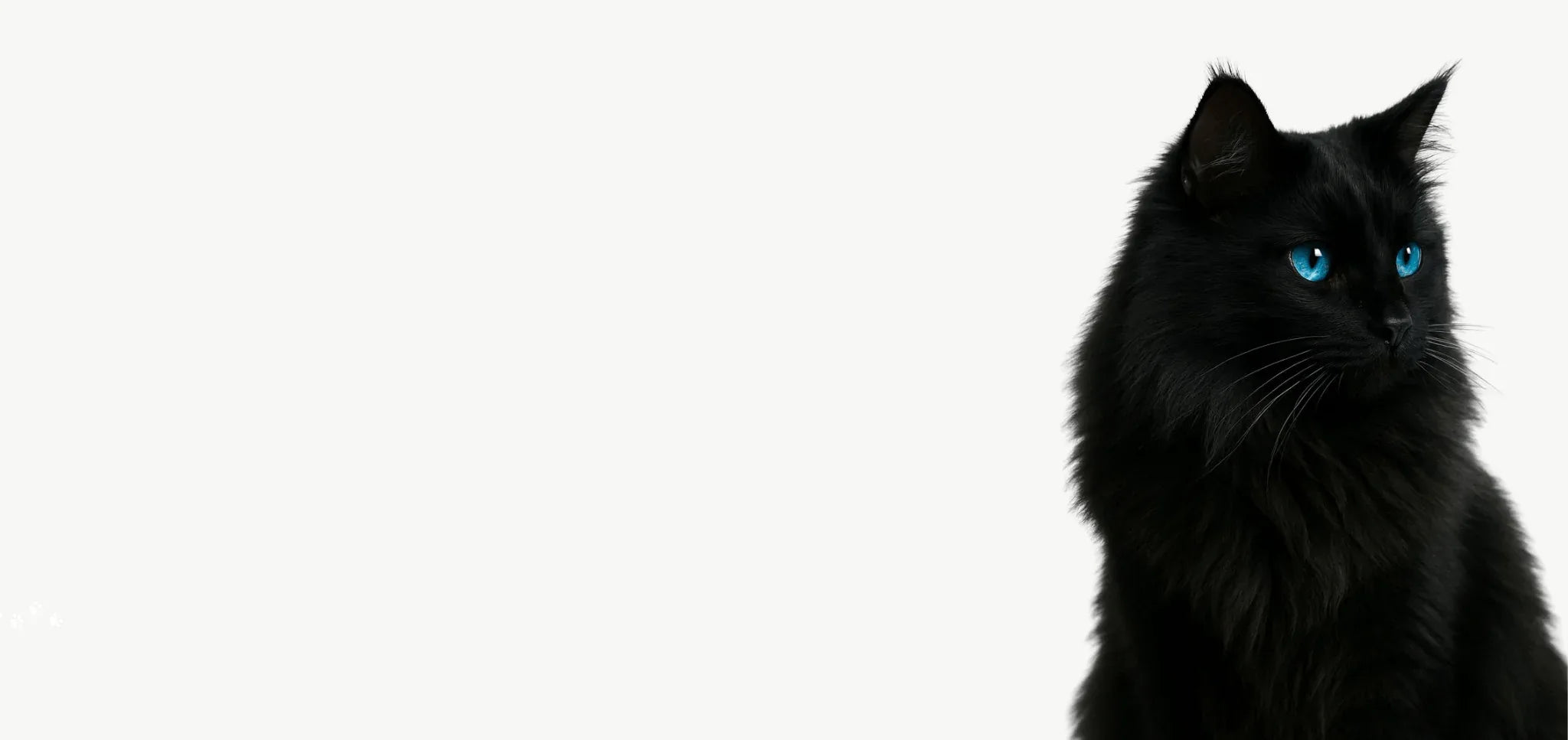 Untitled_vbvbvbvb_2 - Pureheal